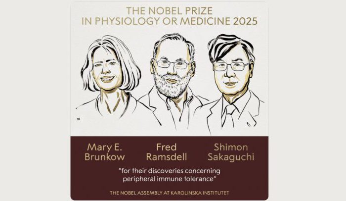 “Immune Breakthrough Wins Nobel Glory: Brunkow, Ramsdell & Sakaguchi Revolutionize Medicine”