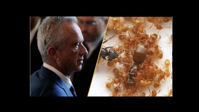 CDC Turmoil Explodes as U.S. Faces Measles Crisis and Scientists Demand Kennedy’s Immediate Resignation