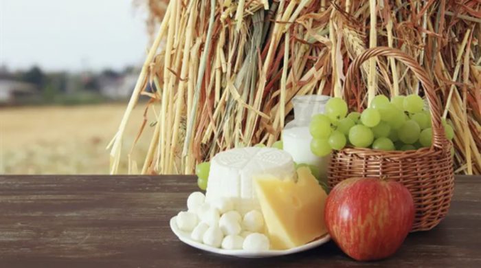 Justice & Power Pauses News Updates For Shavuot And Shabbat, Blessing Readers With Chag Sameach